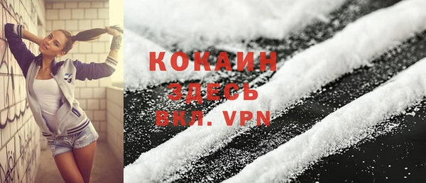 шишки Балабаново