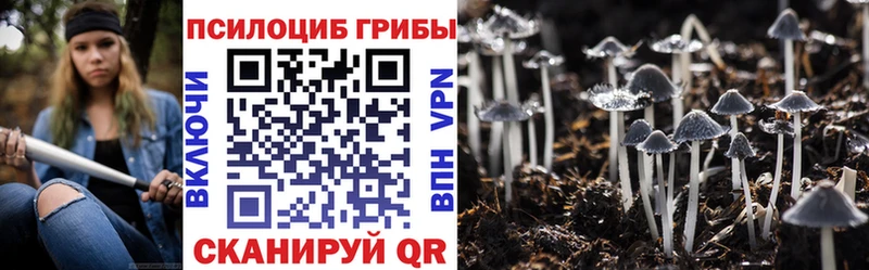 shop официальный сайт  закладка  Котово  Галлюциногенные грибы Psilocybe 